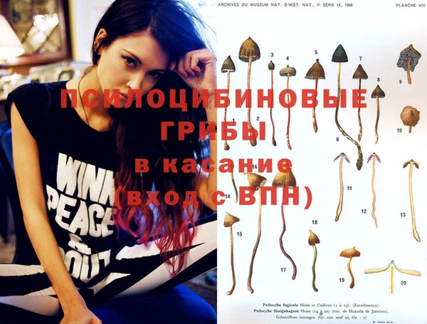 кокс Алексеевка
