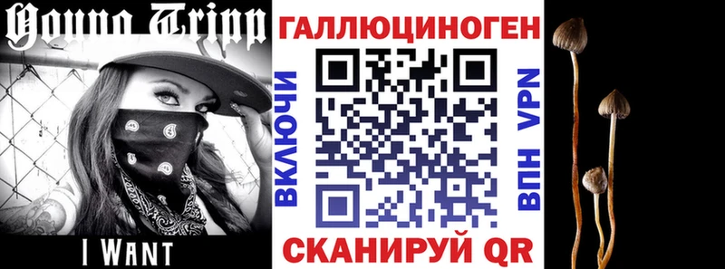 Галлюциногенные грибы MAGIC MUSHROOMS Апрелевка